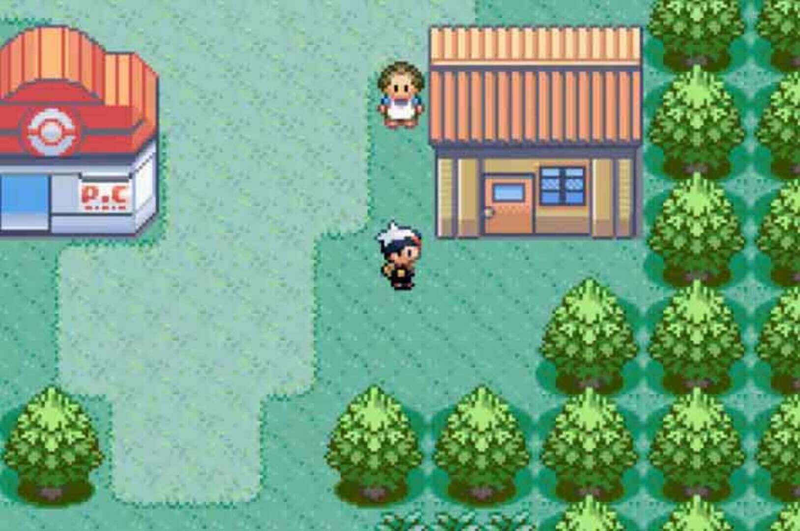 Pokémon Ruby Version screenshot