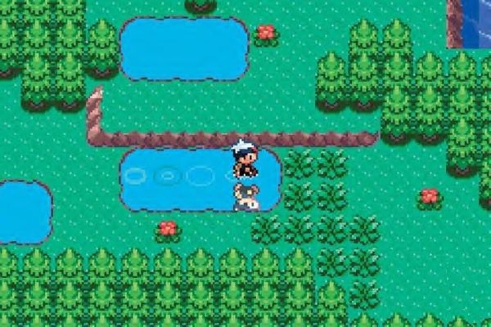 Pokémon Sapphire Version screenshot