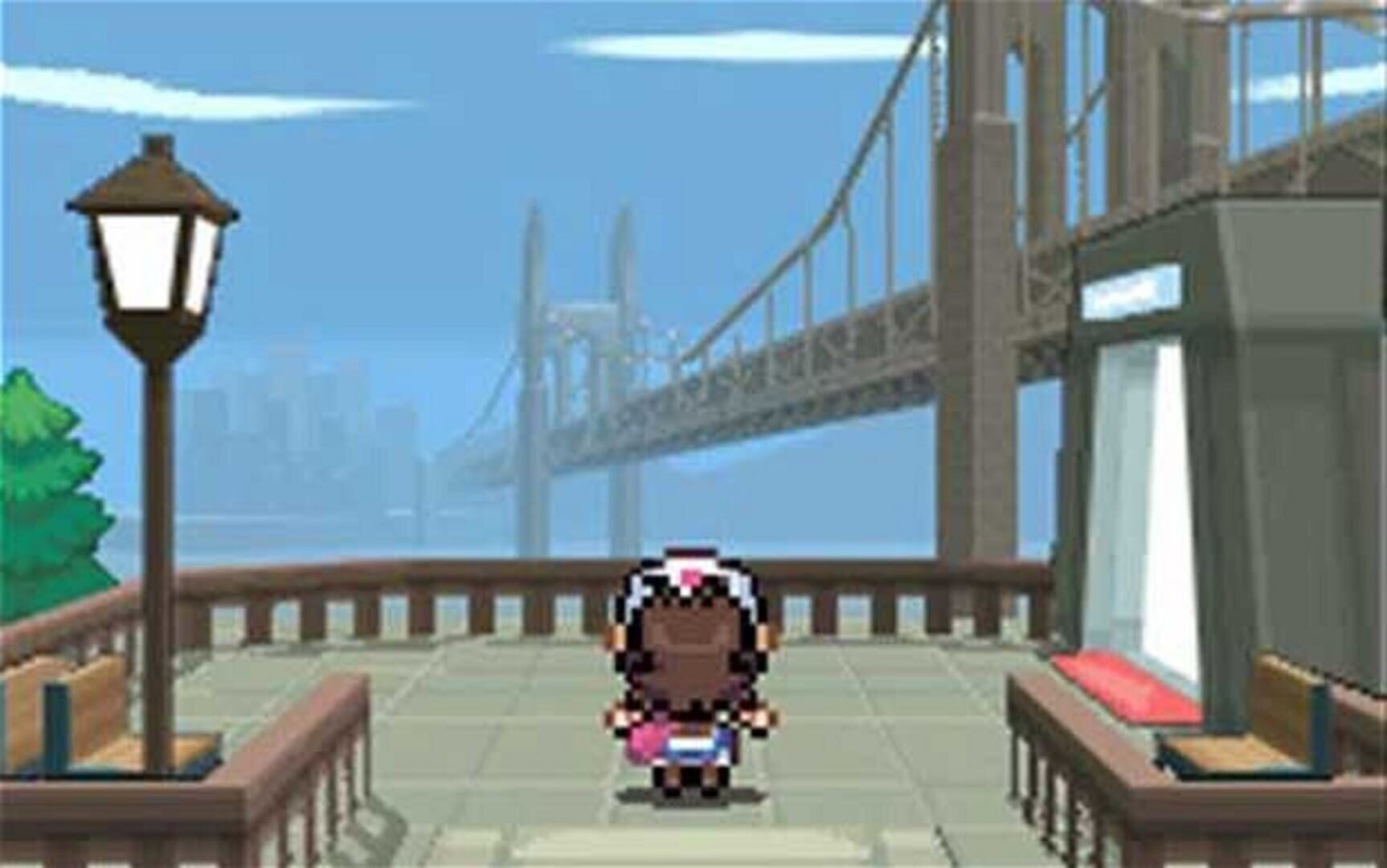 Pokémon Black Version screenshot