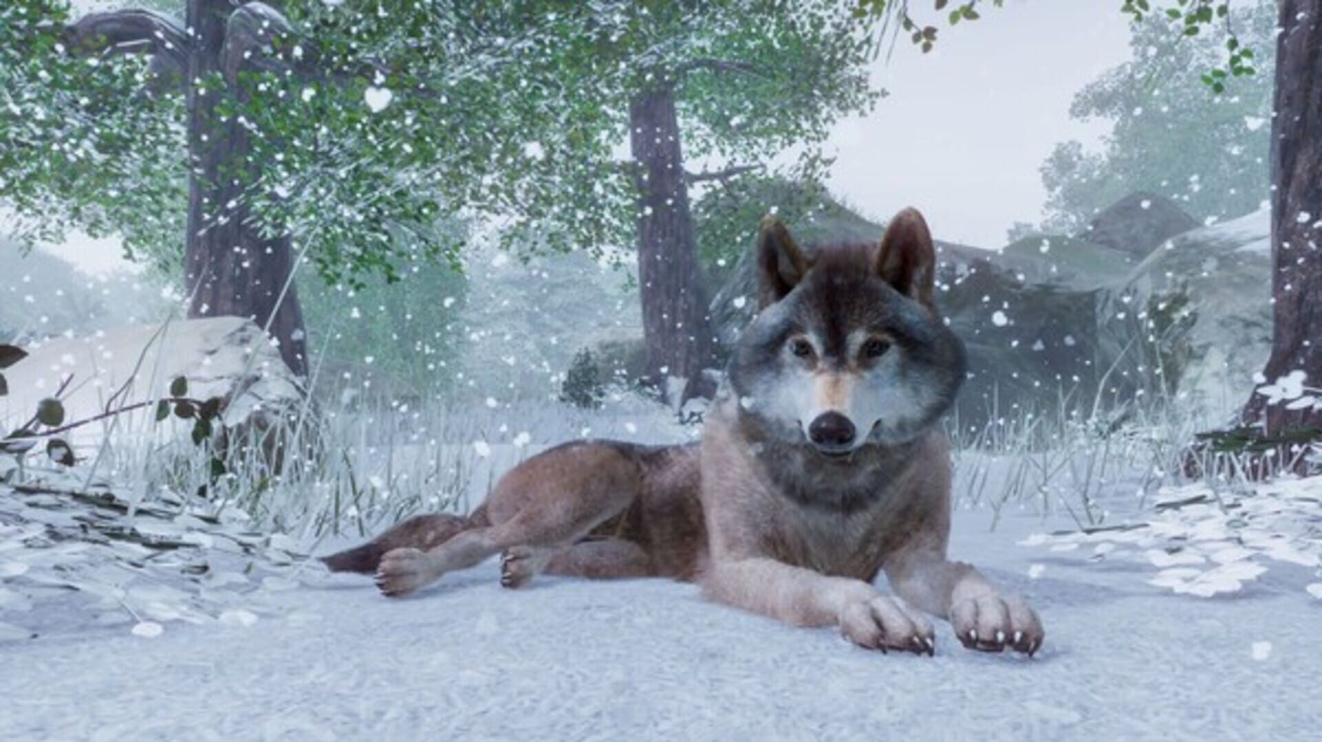 Planet Zoo screenshot