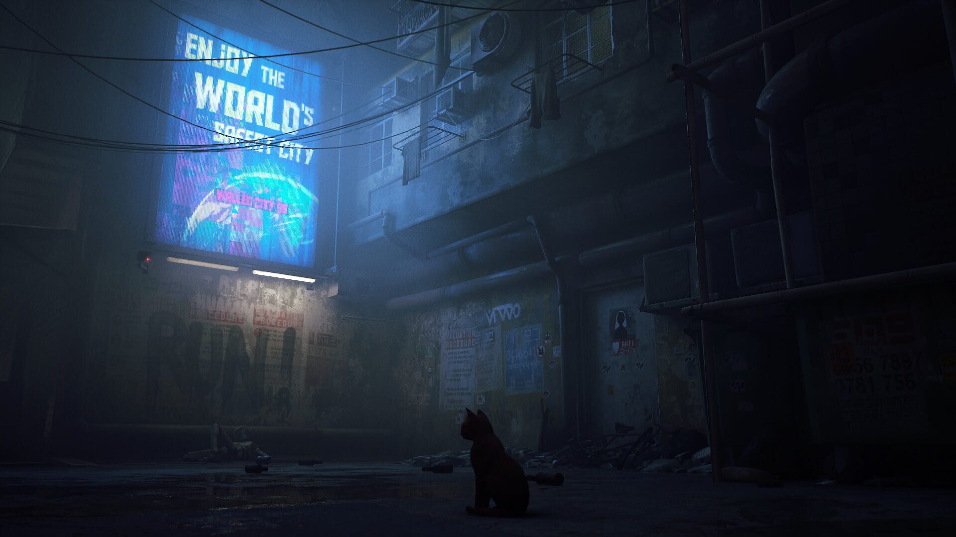 Stray screenshot