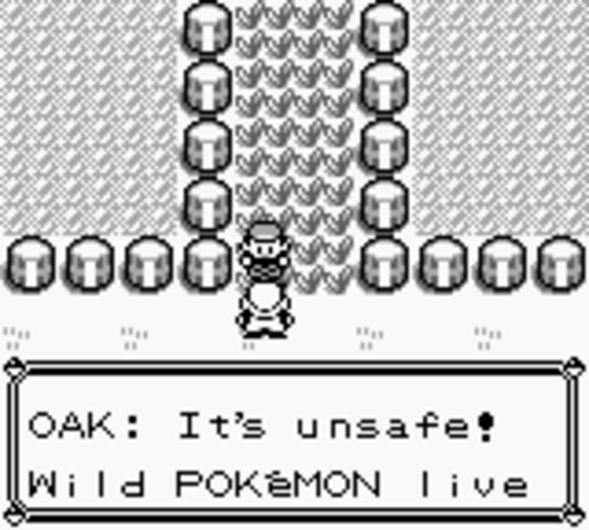 Pokémon Red Version screenshot