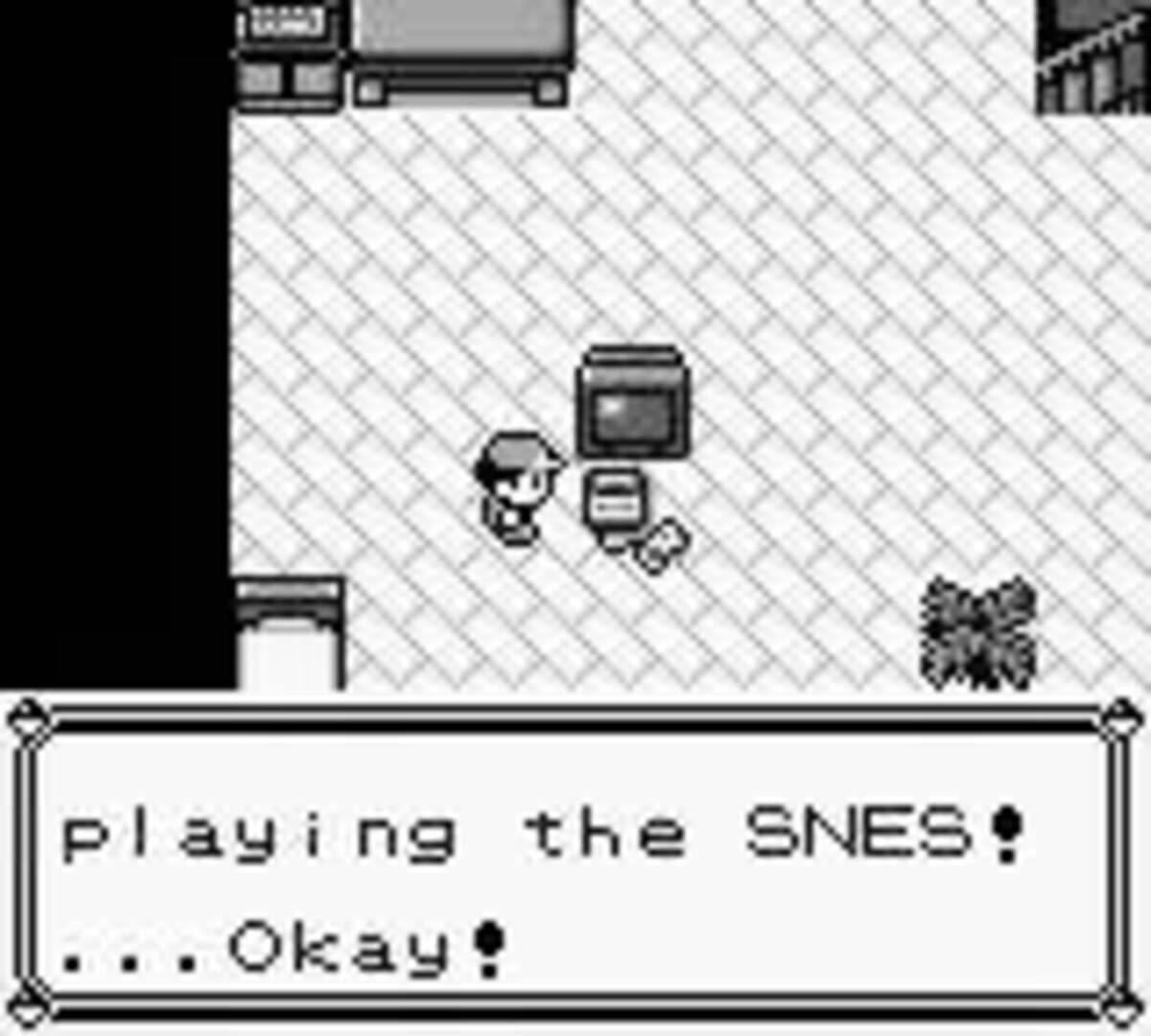 Pokémon Blue Version screenshot