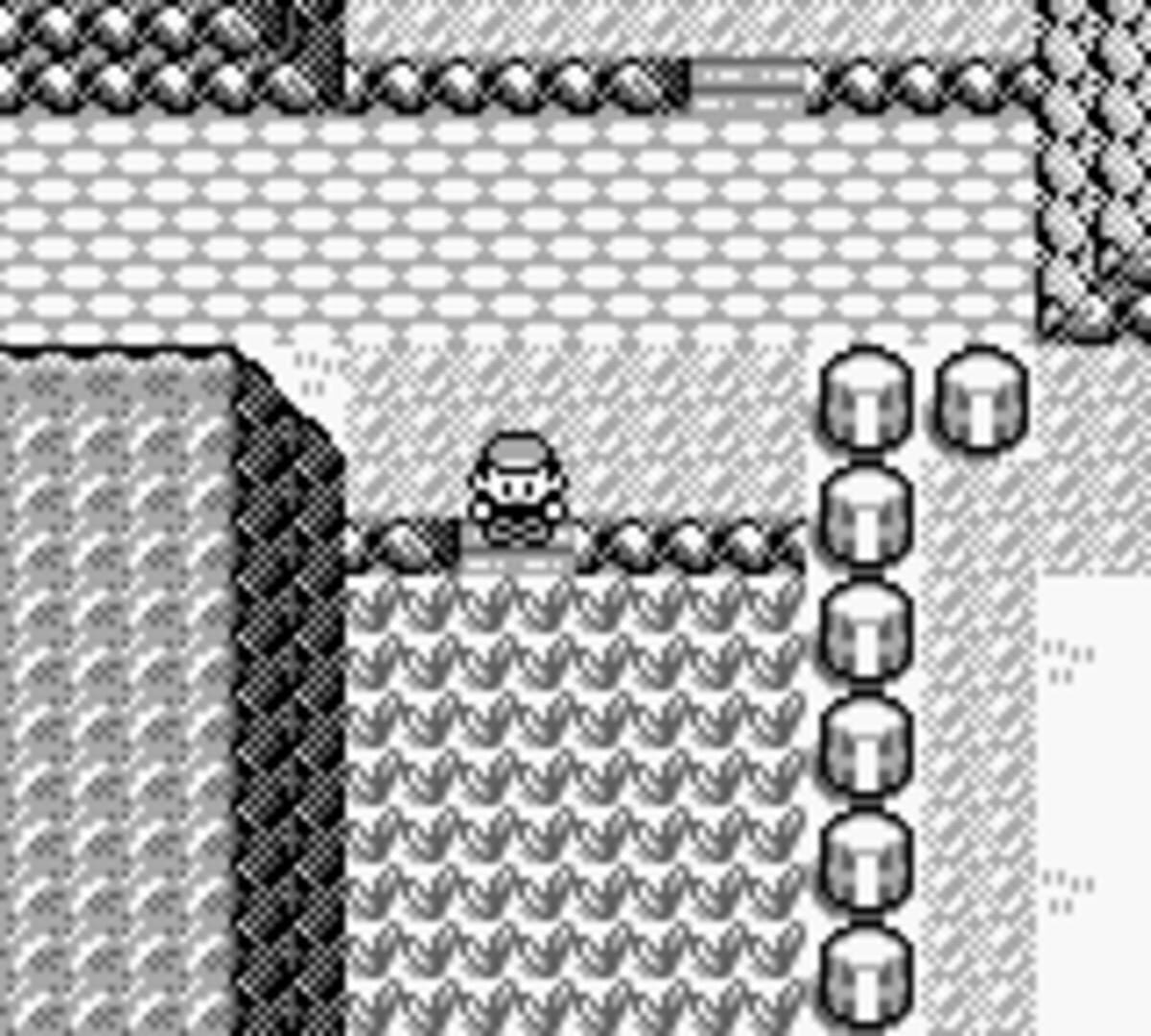 Pokémon Blue Version screenshot