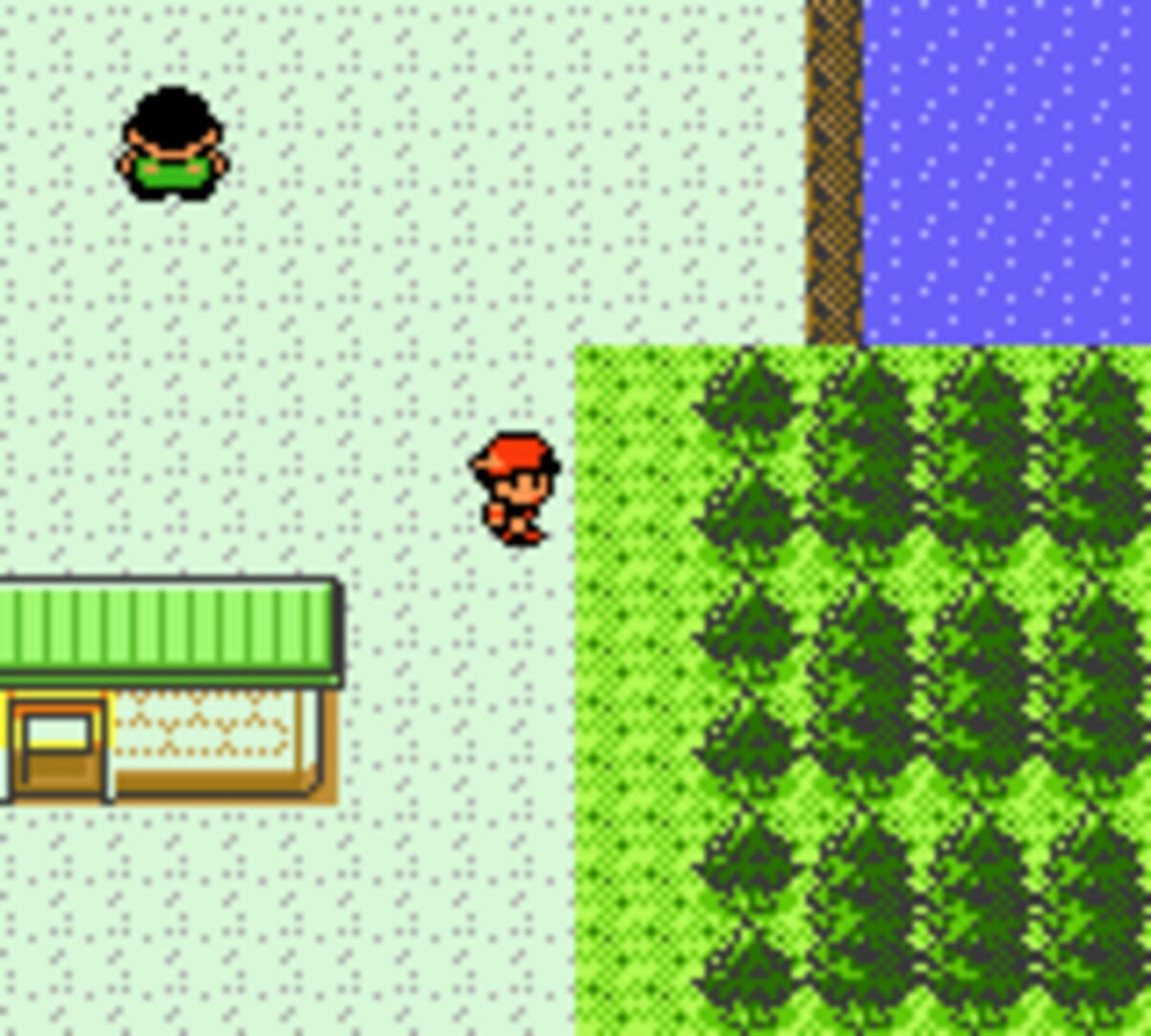 Pokémon Silver Version screenshot
