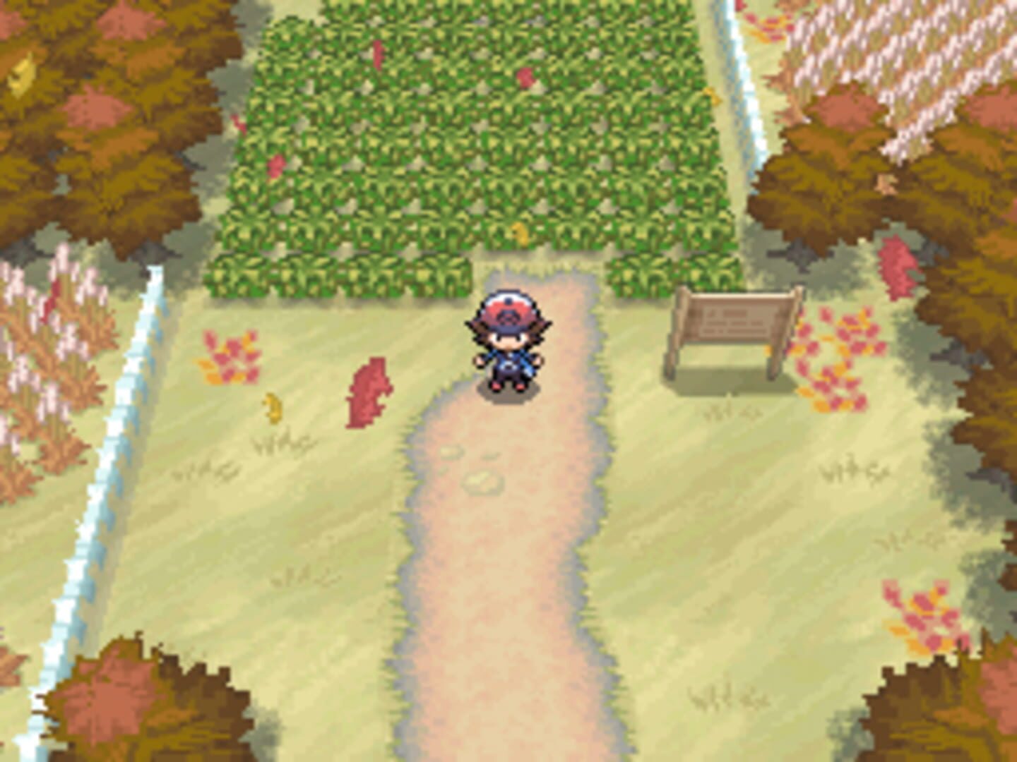 Pokémon Black Version screenshot