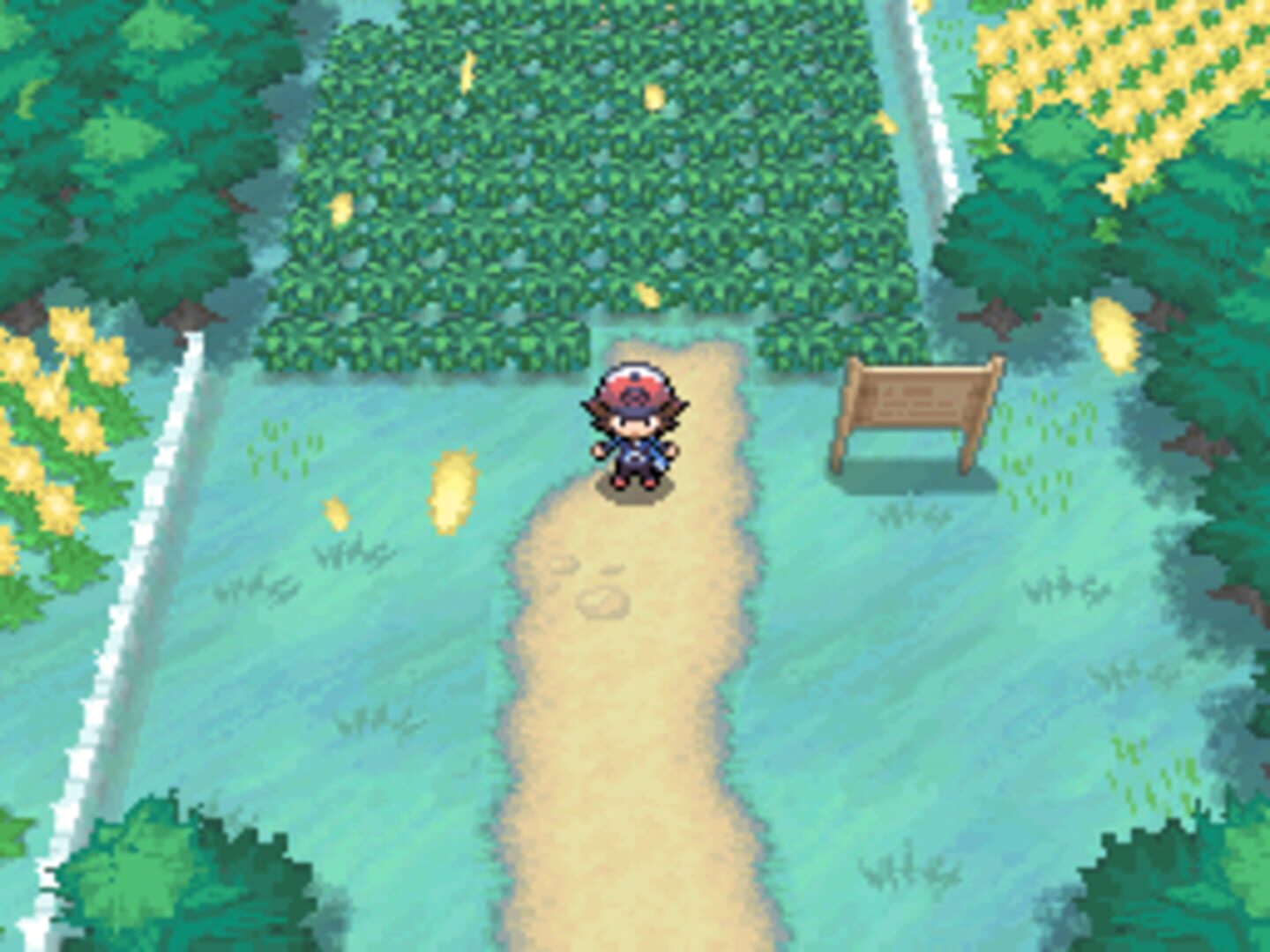 Pokémon Black Version screenshot