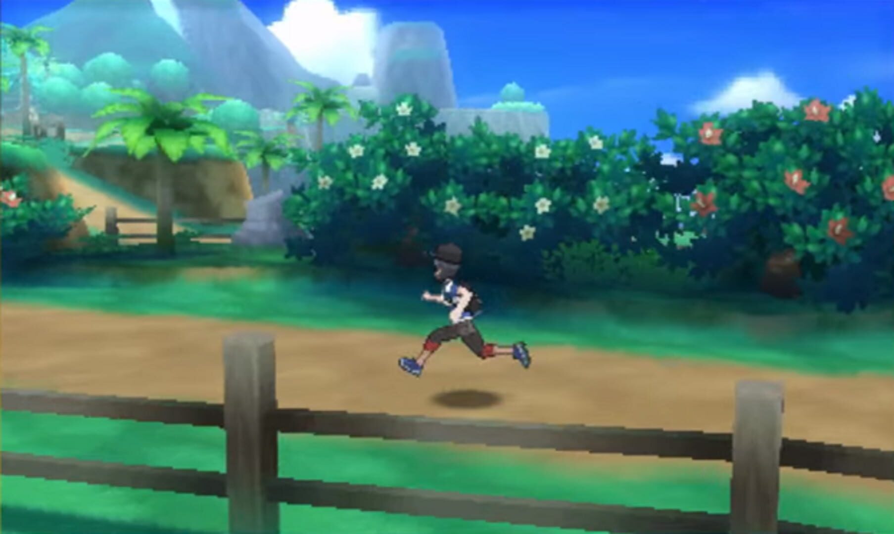 Pokémon Moon screenshot