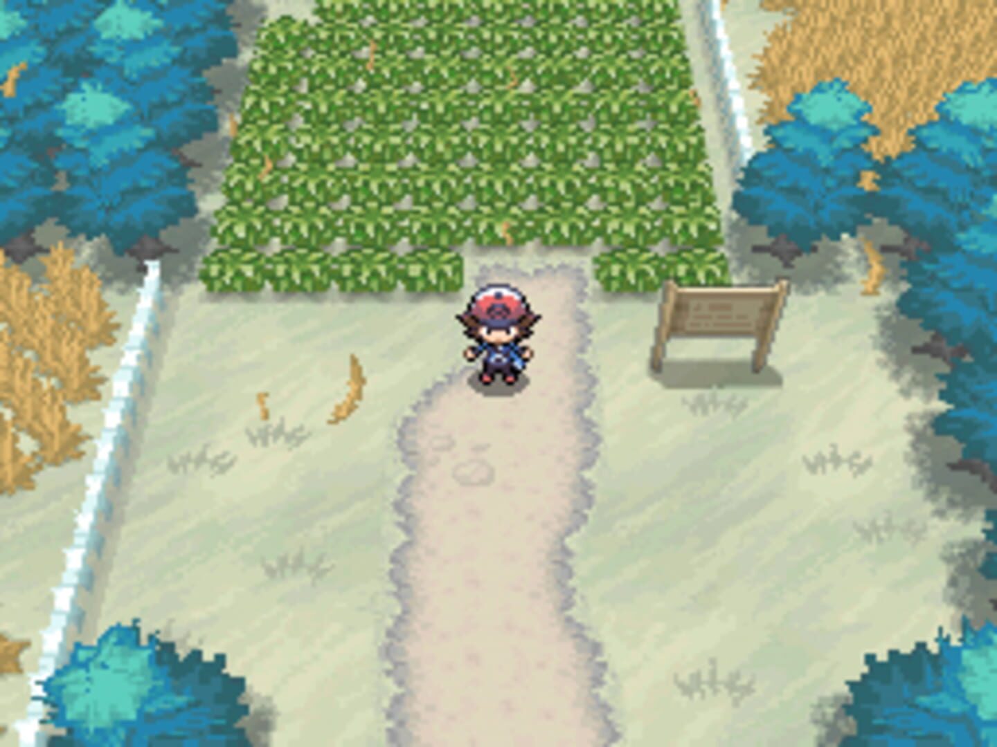 Pokémon Black Version screenshot